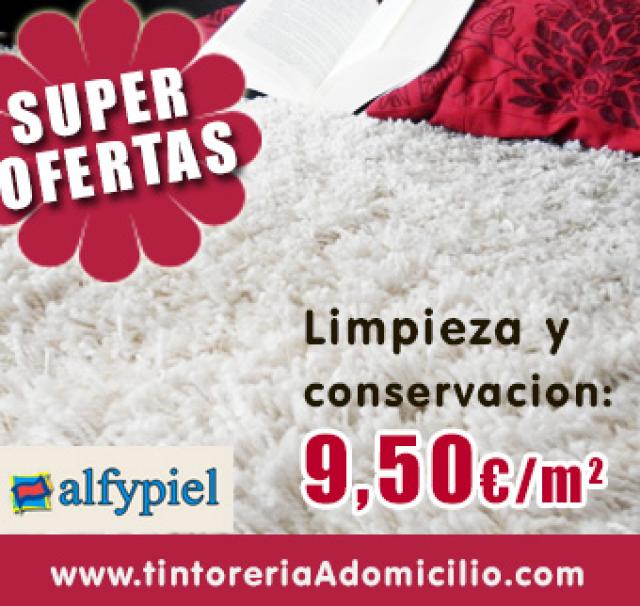 Limpieza Alfombras a domicilio en Arroyomolinos - Boadilla del Monte -  ALFYPIEL Limpieza de Alfombras a Domicilio Descuentos y ofertas en  InfoBoadilla.com