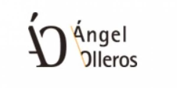 logo ÁNGEL OLLEROS CONSULTORÍA