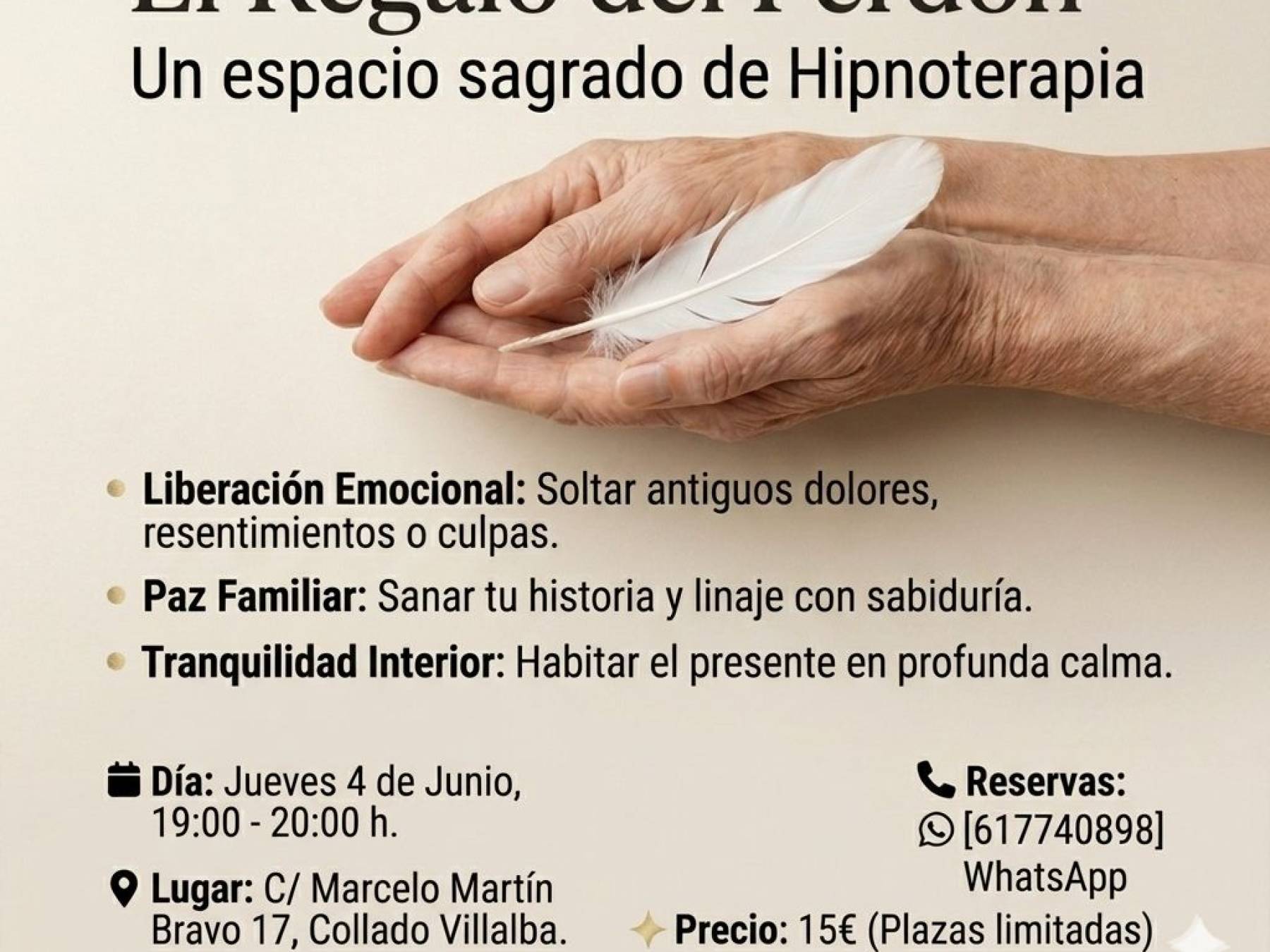 ALFYPIEL Limpieza de Alfombras a Domicilio