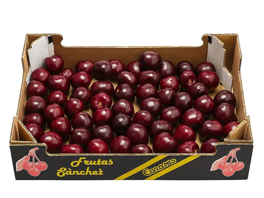 CAJA PICOTAS DEL JERTE GORDAS