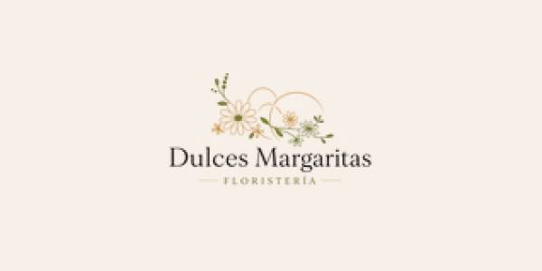 logo STUDIO3 ESCUELA DE DANZA