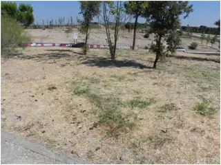 Alternativa por Boadilla denuncia el estado del parque lineal Isabel II y del mobiliario urbano de la Carretera de Madrid