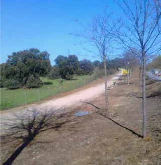 EQUO Sierra de Madrid protesta ante los graves daños producidos en la vía pecuaria de Boadilla del Monte