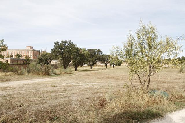 El Ayuntamiento de Boadilla tiene previsto reforestar el Nacedero para incorporarlo al Monte