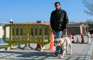 Madrid es la única región en la que se pueden apadrinar perros-guía