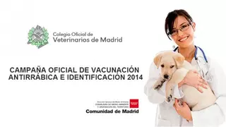 Del 2 al 6 de junio, Campaña de Vacunación e identificación de animales domésticos en Boadilla