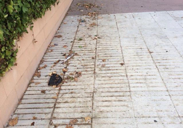 
                                                    Los vecinos de Isabel de Farnesio hartos del abandono del mantenimiento y de la suciedad de su calle