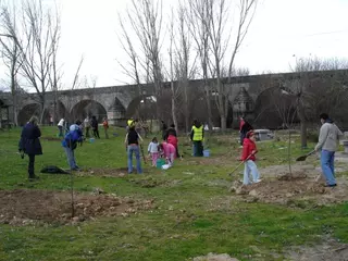 Ecologistas en Ación celebra el Dia Forestal Mundial con una repoblación popular en el monte de Boadilla
