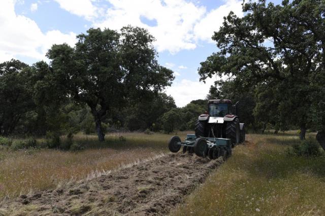 La Comunidad de Madrid realiza labores de repaso y mantenimiento en los cortafuegos del monte