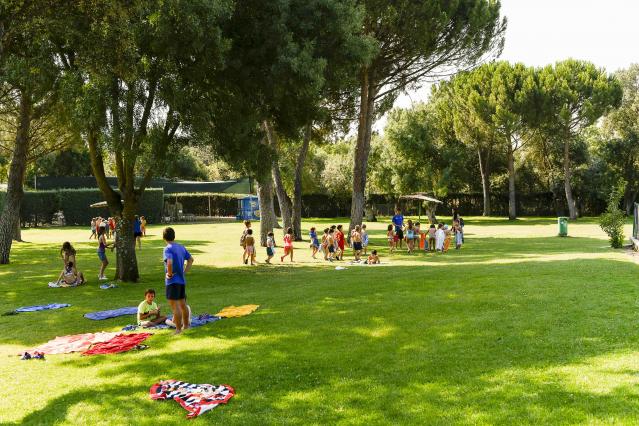 Un total de 1.100 niños han participado este mes en las colonias y campus deportivos que ofrece el Ayuntamiento