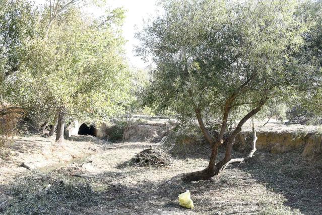 Comienzan las tareas de limpieza y desbroce de los arroyos de Valenoso, Nacedero y Calabozo