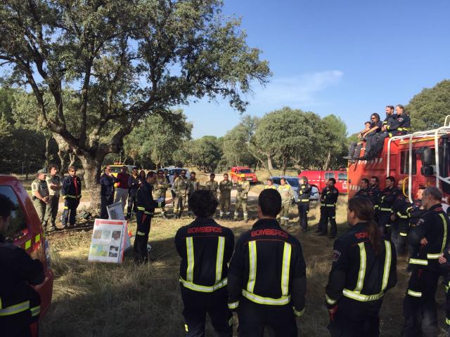 
                                                    Boadilla acoge una jornada de capacitación forestal para bomberos y agentes forestales de la Comunidad de Madrid