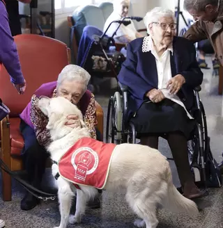 La Comunidad de Madrid presenta el Servicio de Intervención Canina para atender a niños, mayores y personas hospitalizadas