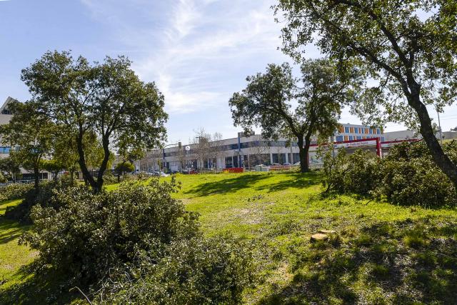 Trabajos de mejora en las zonas verdes de Prado del Espino
