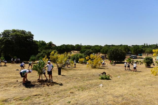 Casi 300 escolares participan en la forestación de una zona despoblada de arbolado en Las Lomas 