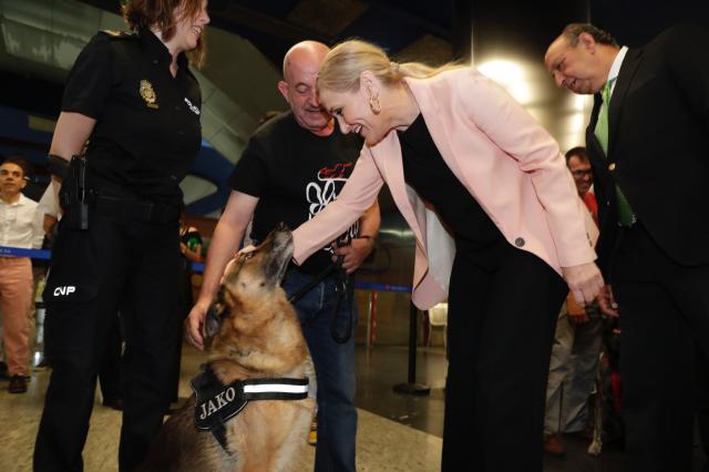 
                                                    Más de 135.000 perros han accedido al Metro de Madrid en el primer año