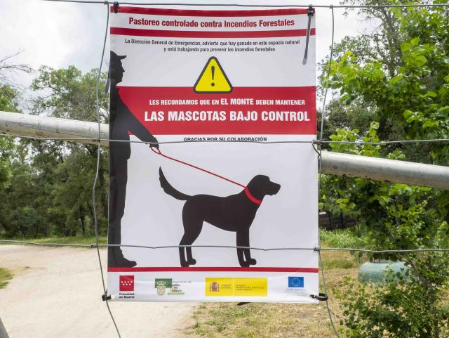 Comunidad de Madrid y Ayuntamiento recuerdan a los propietarios de perros que estos deben estar controlados en el monte