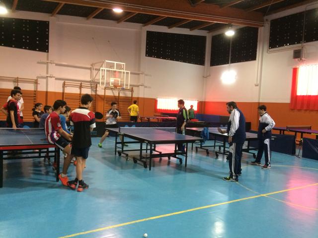El Boadilla Tenis de Mesa comienza la temporada 2019/20 reforzando su escuela y buscando el campeonato de España femenino