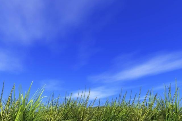 
                                                    Temperaturas sin cambios durante la jornada de hoy
