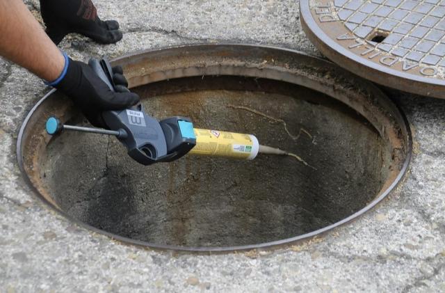 El Ayuntamiento continúa realizando la campaña anual de control de plagas e insectos