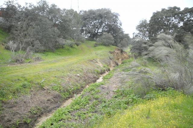 El Ayuntamiento ha comenzado la limpieza y desbroce de cuatro arroyos que pasan por el suelo urbano de Boadilla
