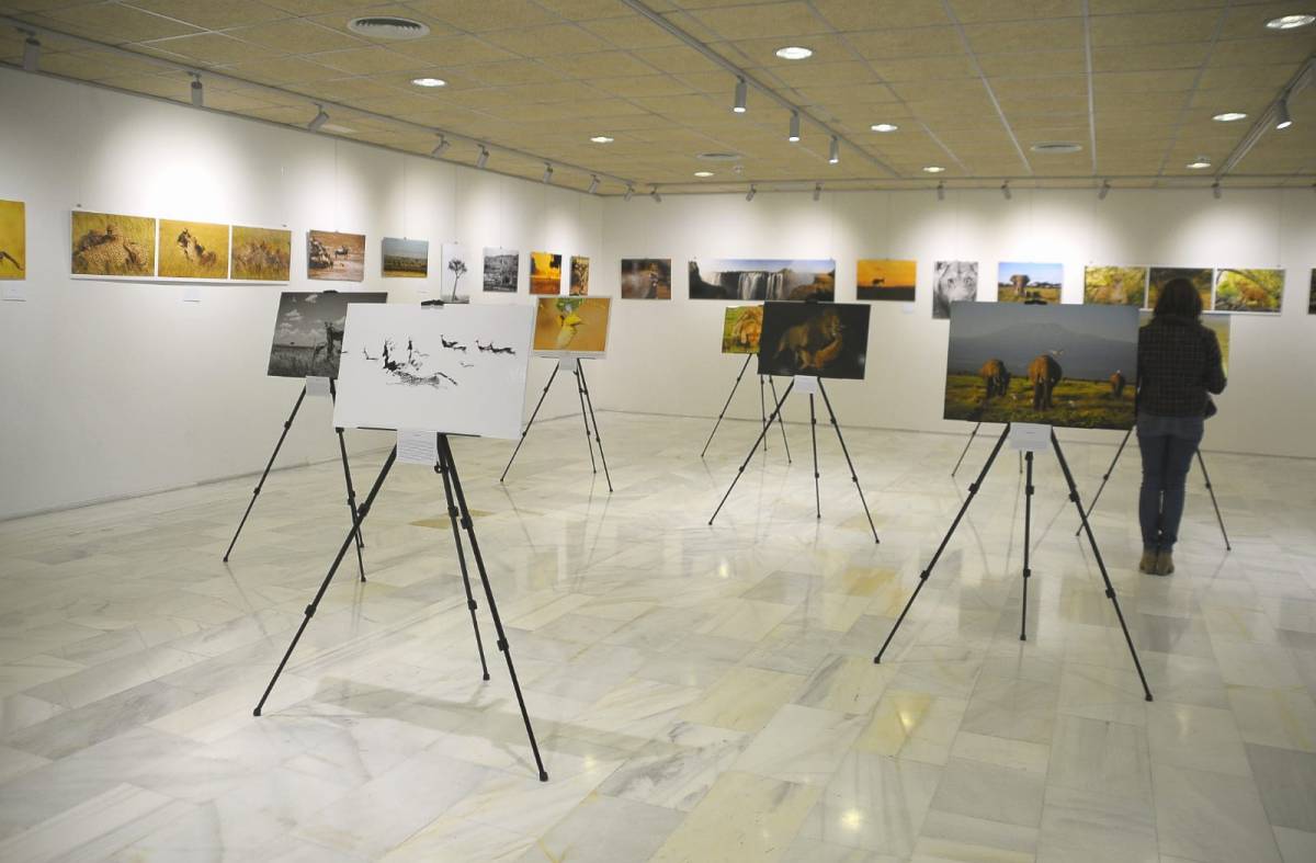 
                                                    El Centro de Formación acoge 'Mis memorias de África', la exposición fotográfica del joven boadillano David Cisneros