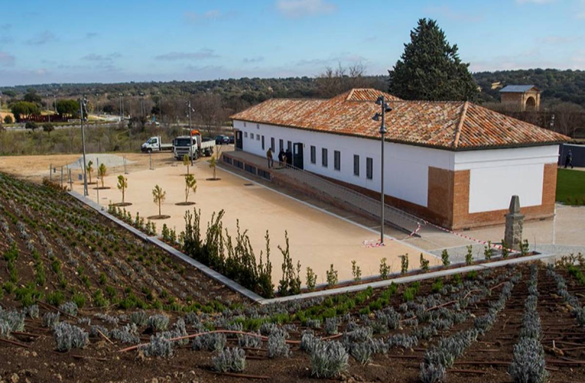 
                                                    El Aula Medioambiental de Boadilla ofrece campamentos urbanos con diferente temática durante el mes de Julio