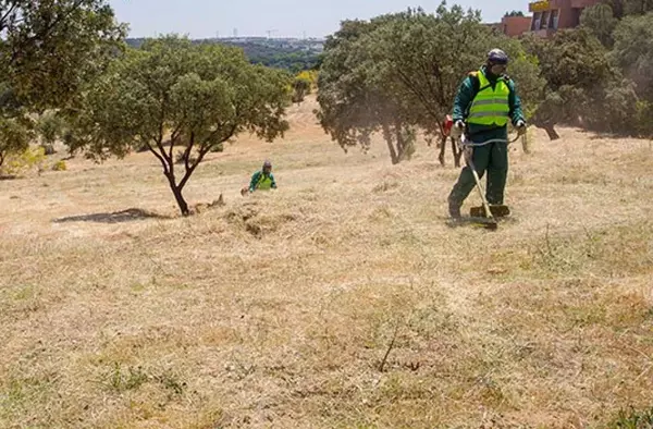 Boadilla recuerda la obligación de limpiar y desbrozar los solares y terrenos privados para prevenir incendios