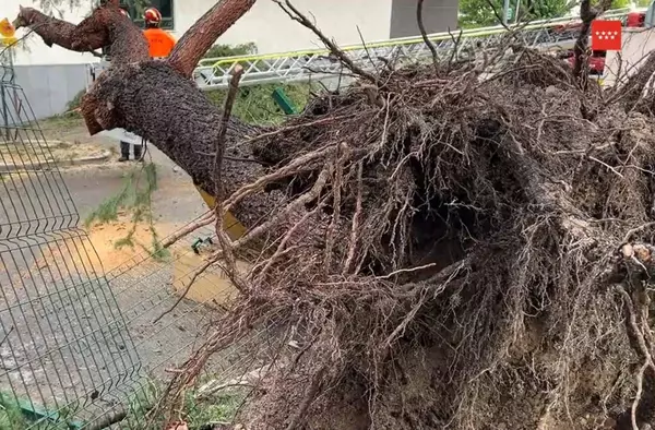 El 112 atendió 650 avisos de emergencia por la tormenta del sábado