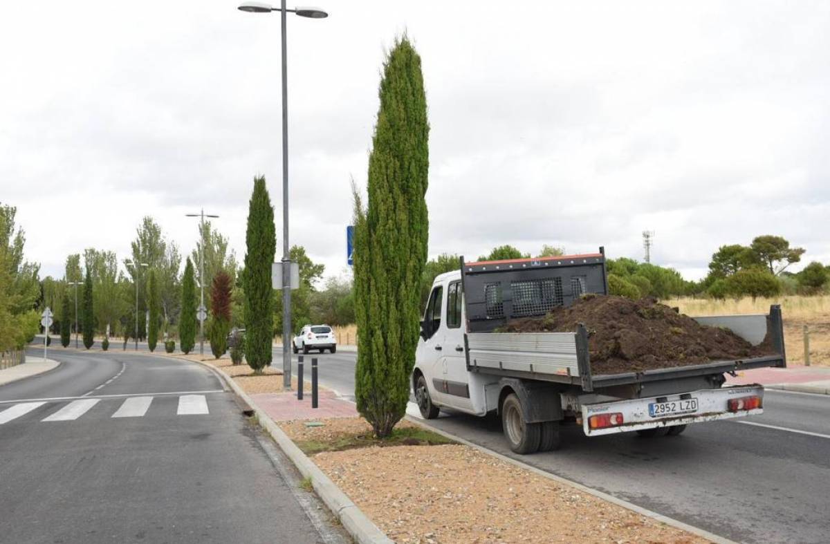 Avanzan las obras de mejora en la mediana de la avenida de Valdepastores