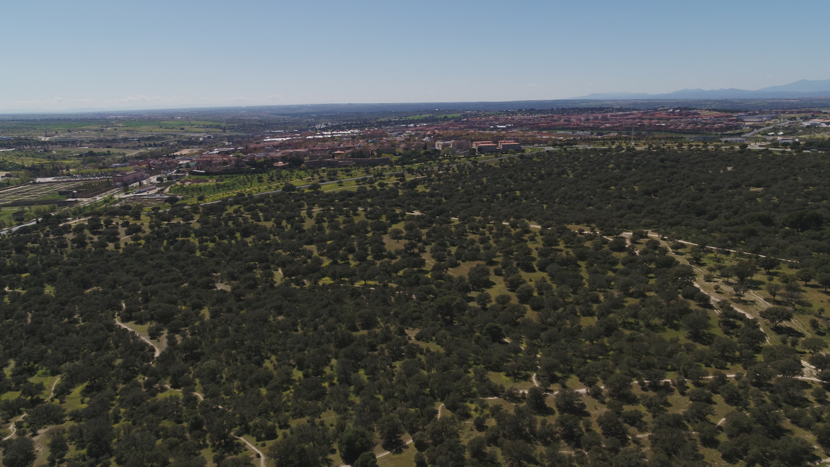 El PSOE invita a los vecinos a un paseo en defensa del Monte de Boadilla