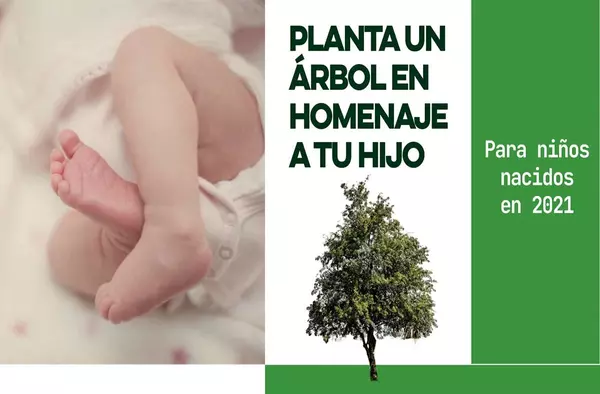 Boadilla abre la inscripción para la plantación de árboles en homenaje a los niños nacidos en 2021