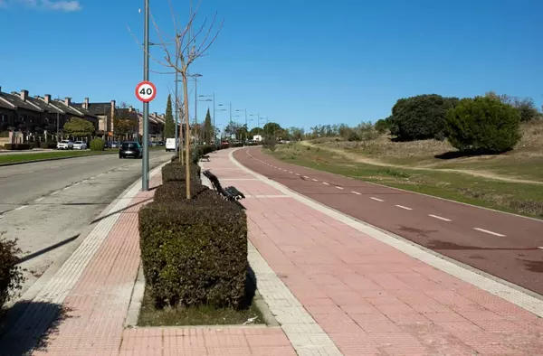 En marcha la sustitución de los árboles afectados por las tormentas en la calle Miguel Ángel Cantero Oliva