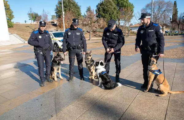La Policía Local de Boadilla incorpora una unidad canina con cuatro nuevos 'agentes'