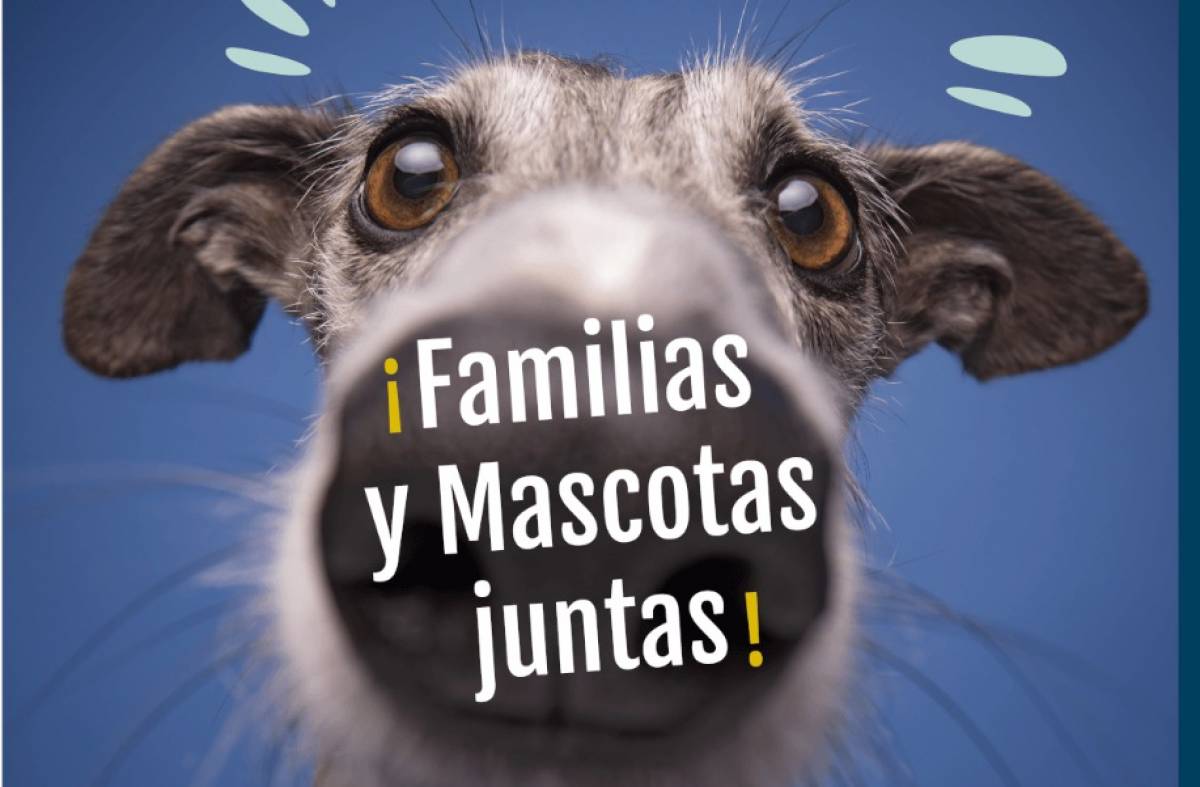 Diver Mascotas llega a Boadilla: la feria más divertida para disfrutar en familia y con nuestros peludos