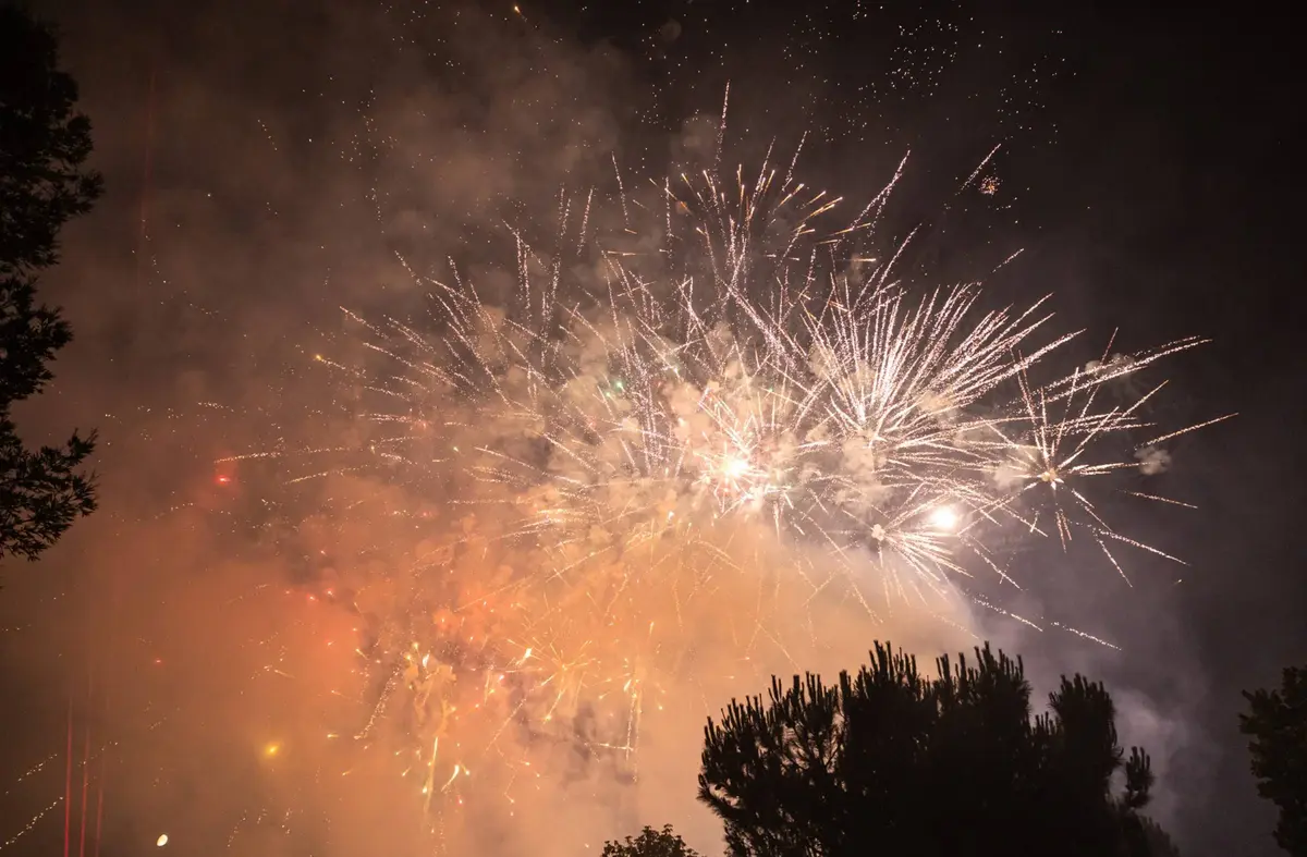 Fiestas del Carmen de Pozuelo 2025. Del 16 al 20 de Julio en Pozuelo
