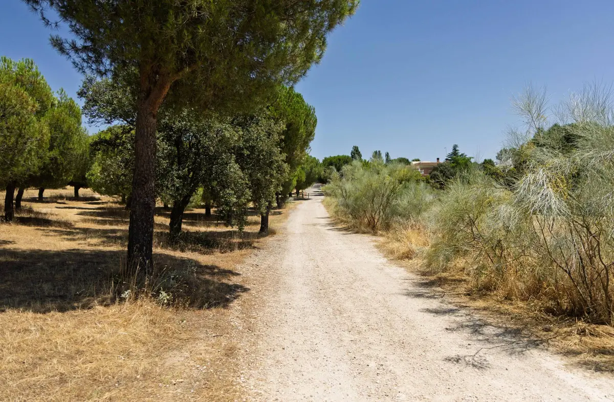 Boadilla ampliará sendas ciclables y carriles bici con 11 kilómetros más 