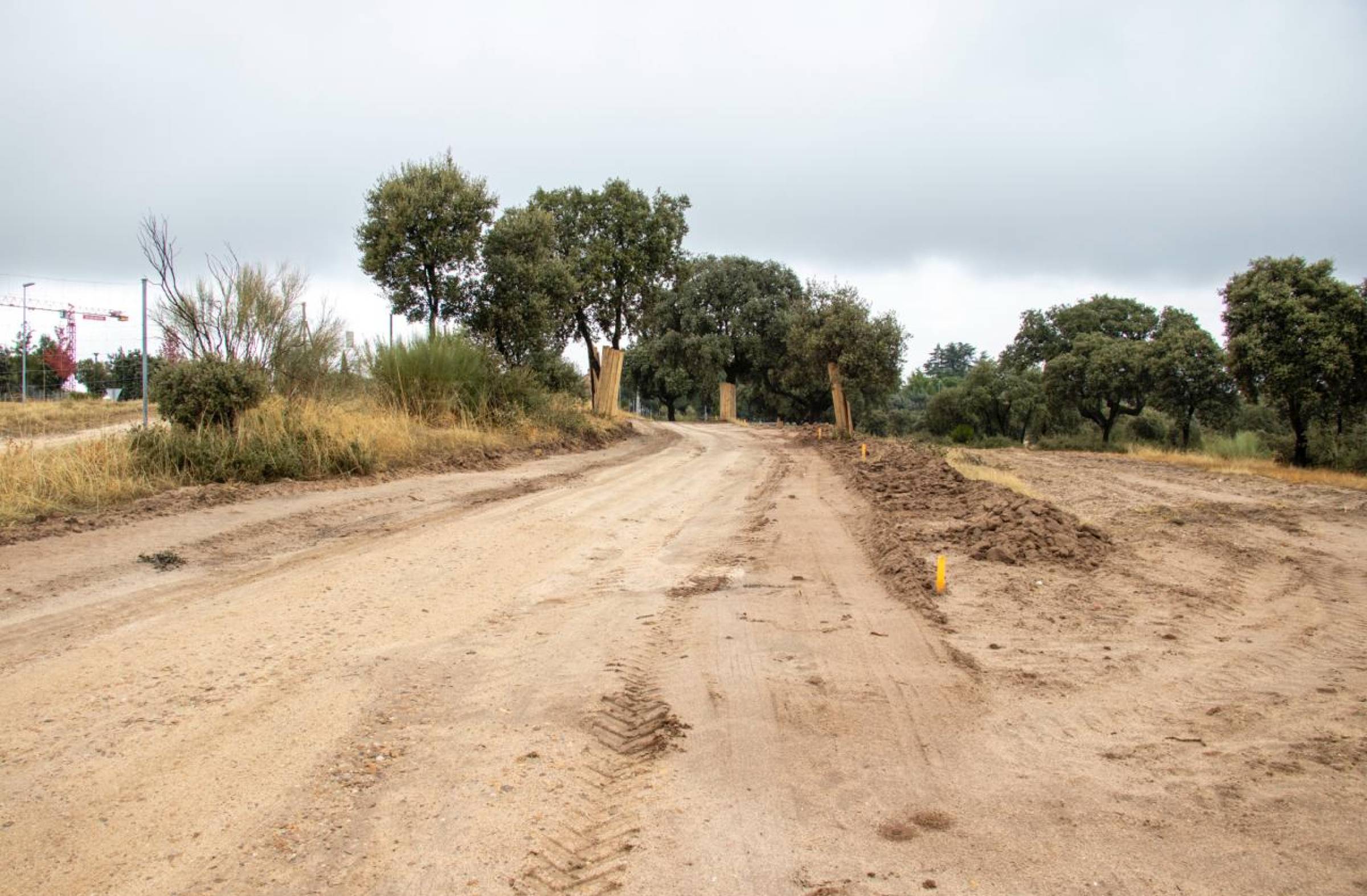 Avanza la mejora de la senda ciclabe de Boadilla junto a la M-516 hasta la urbanización Los Fresnos B