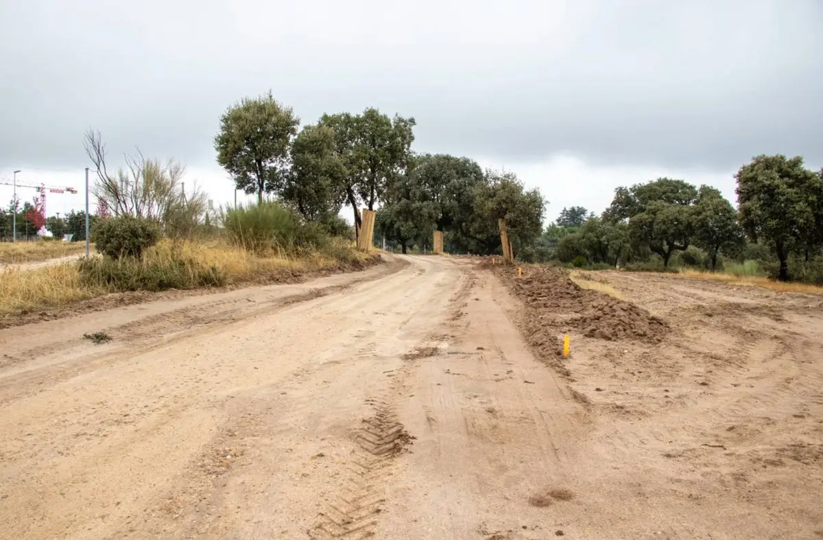 Avanza la mejora de la senda ciclabe de Boadilla junto a la M-516 hasta la urbanización Los Fresnos B