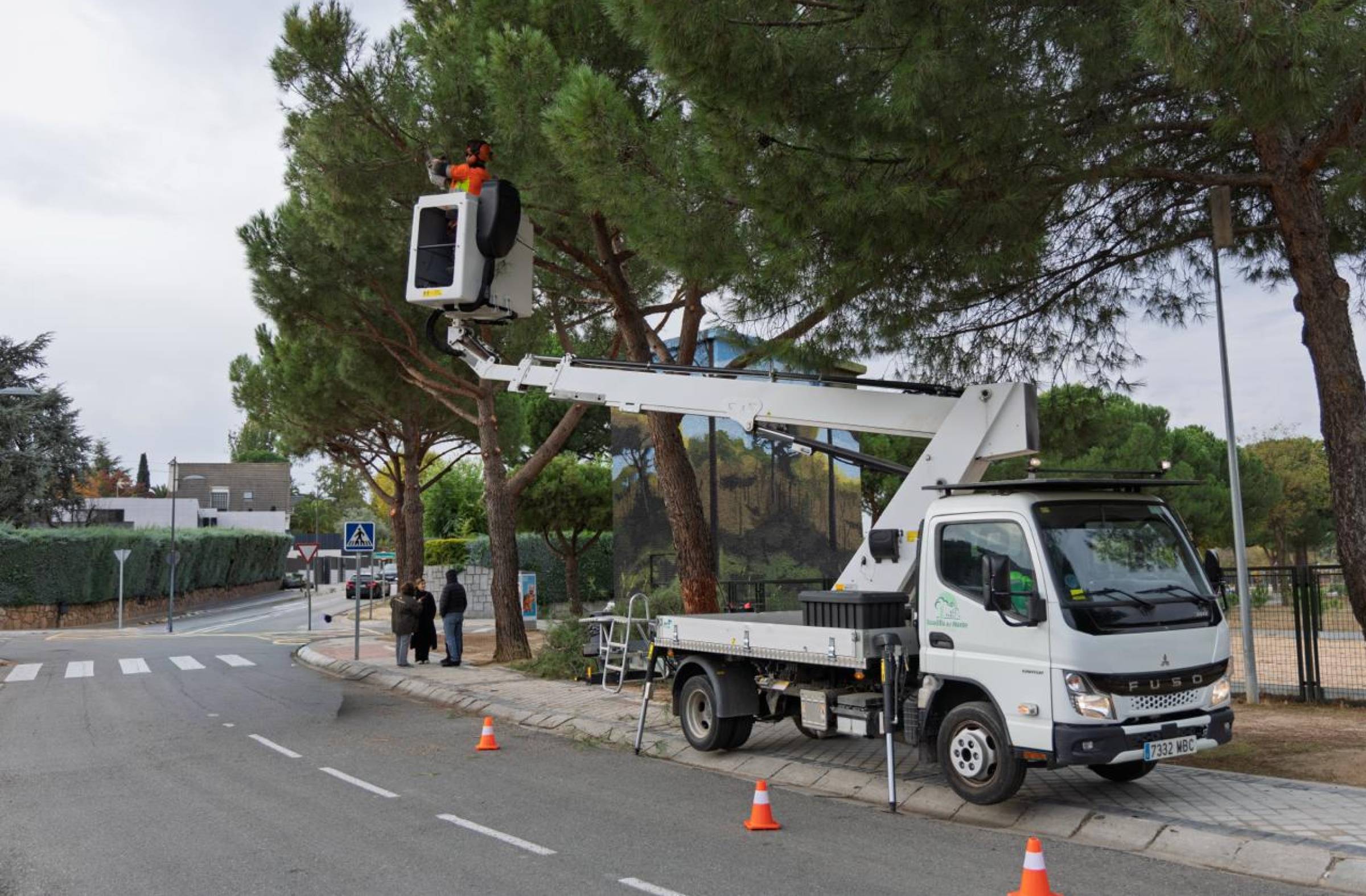 Comienza la campaña anual de poda en Boadilla