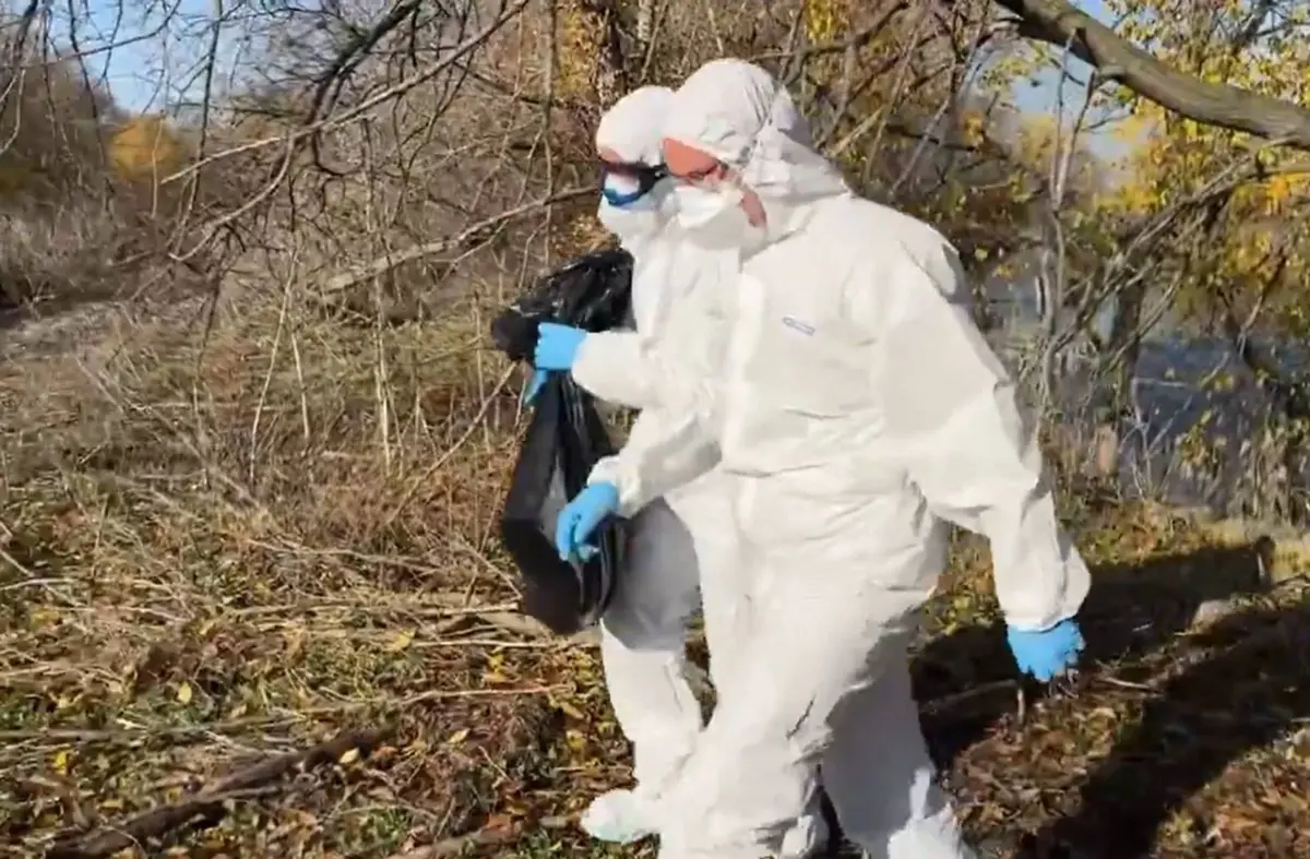 Detectado un foco de gripe aviar de alta patogenicidad en Boadilla del Monte