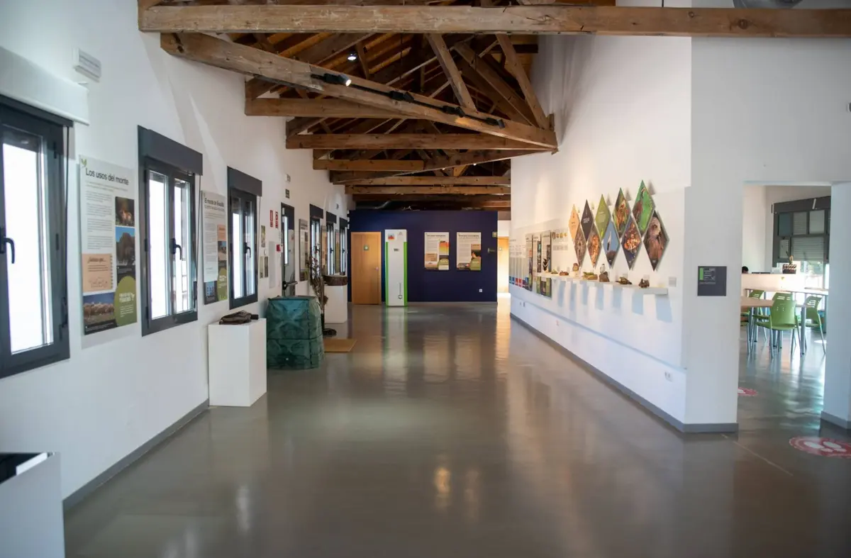 
                                        El Aula Medioambiental de Boadilla ofrece su programa 'Días sin Cole' durante la Navidad