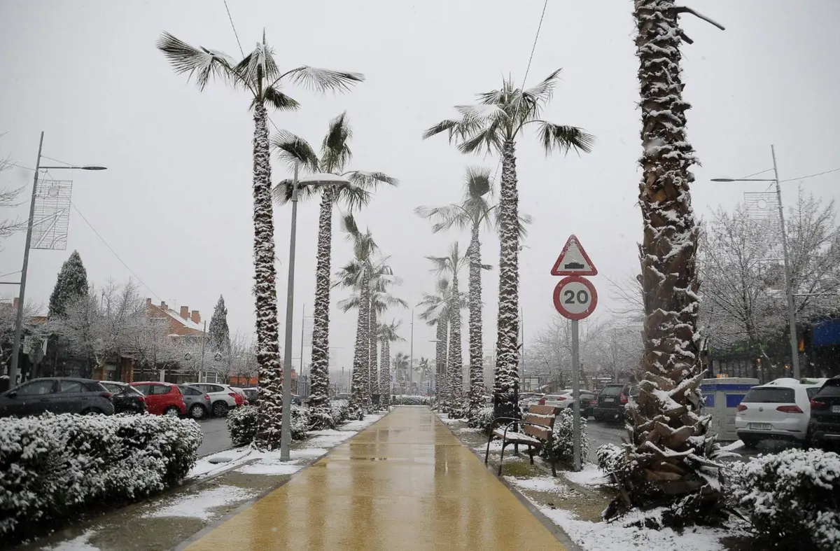 
                                        Boadilla, en aviso amarillo por nieve y fuertes rachas de viento mañana miércoles 28 de enero