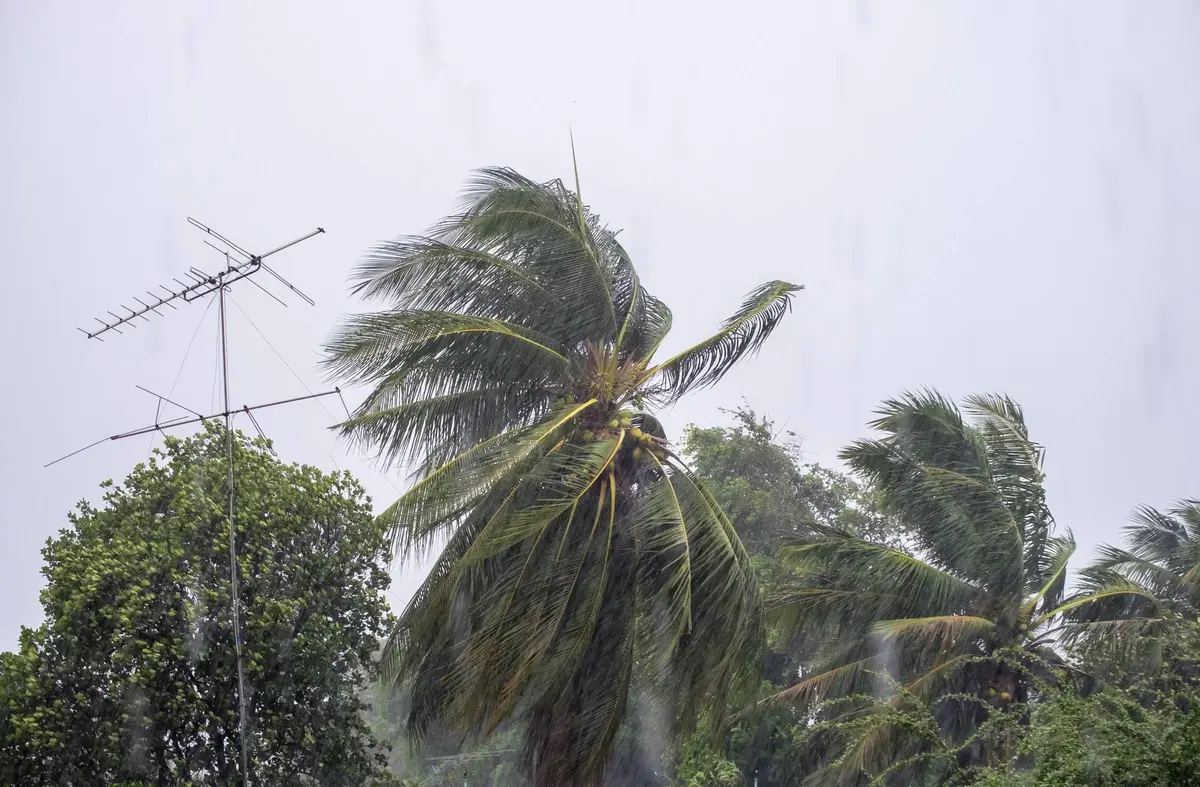 Alerta amarilla en Boadilla por los vientos fuertes previstos para mañana