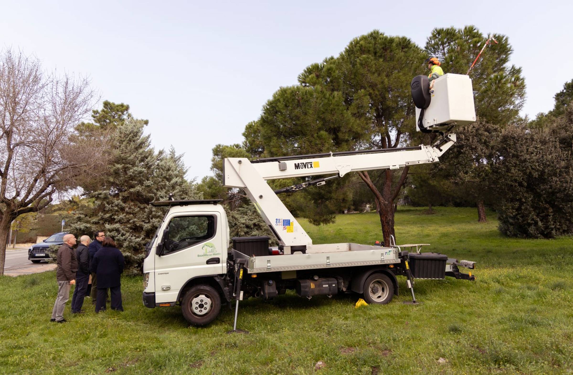 
                                                    Boadilla pone en marcha la campaña anual de control de la procesionaria del pino