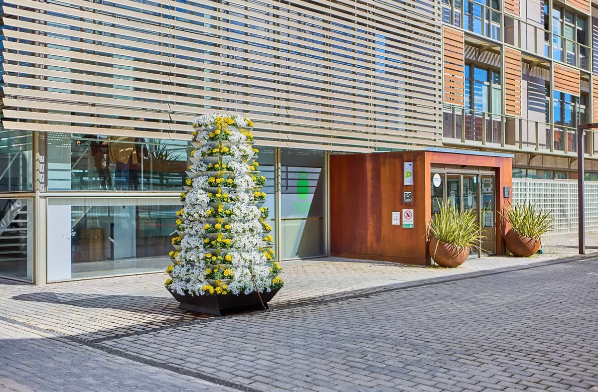 Boadilla coloca en los enclaves más visibles flores con los colores de la bandera del Vaticano por la visita del Papa