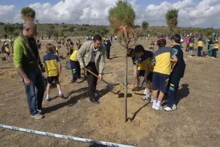 400 escolares celebran en Boadilla el Día del Árbol