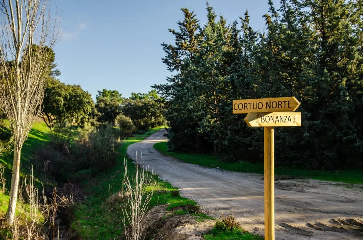 Boadilla acondiciona la senda peatonal y ciclista de 4 km que une Parque Boadilla, Las Lomas y Bonanza