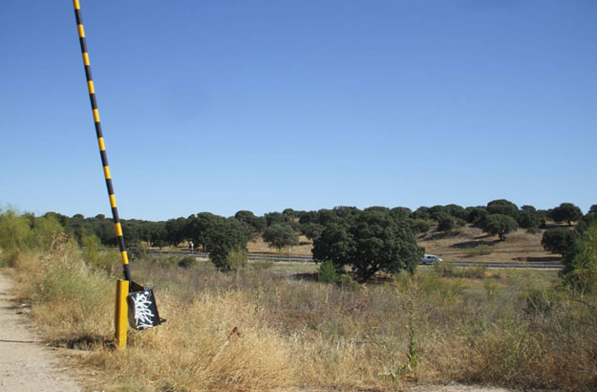 
                                                    El nuevo grupo de Ecologistas en Acción en Boadilla se marca como meta frenar la urbanización y blindar Viñas Viejas