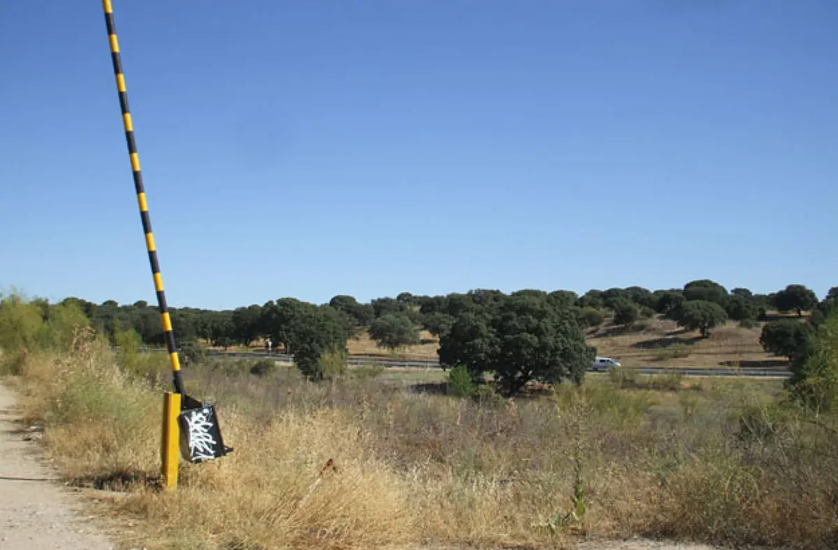 
                        El nuevo grupo de Ecologistas en Acción en Boadilla se marca como meta frenar la urbanización y blindar Viñas Viejas                        